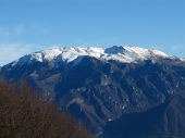 MONTE BRONZONE - 8 gennaio 2012 - FOTOGALLERY